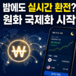 원화 국제화